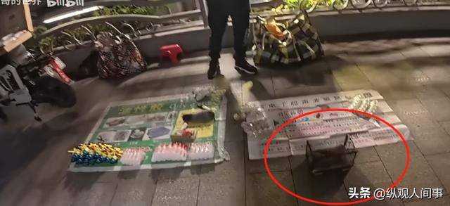 英国黑人博主夜探广州黑人村 中国人也破防了