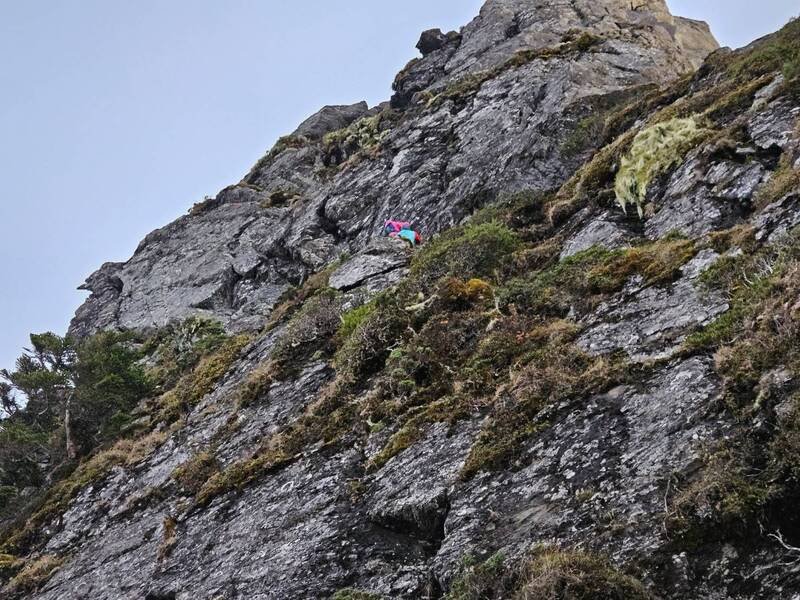 女山友受困海拔3千公尺绝壁，失温获救。（民众提供