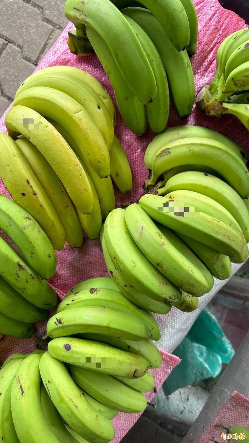 陈姓男子拿菜刀到香蕉园偷割一大串香蕉，主人说价值1400元，陈男被判刑6月，易科罚金折合18万元。香蕉示意图，与新闻无关。（记者陈凤丽摄）