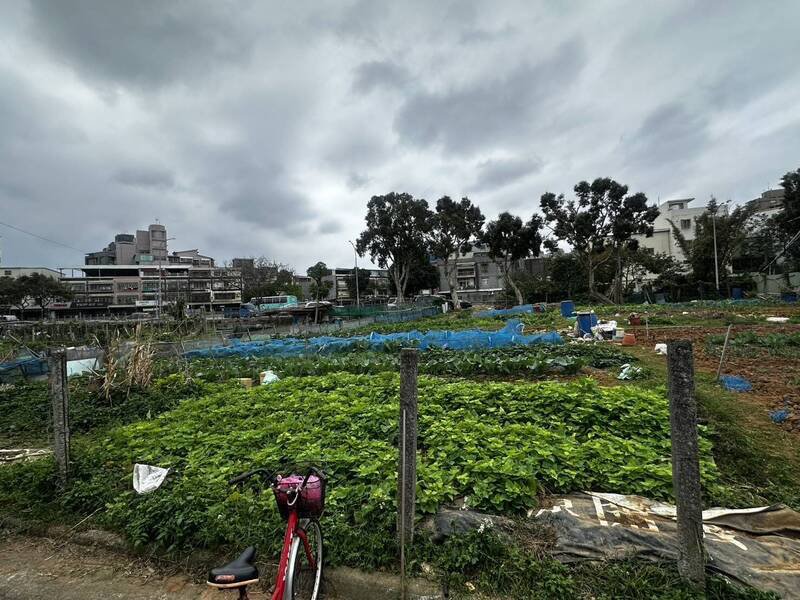 文化一路二段巷弄内的菜园发生杀人案。（记者徐圣伦翻摄）