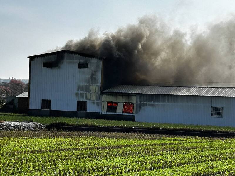 后里木材加工厂大火，幸无人伤亡。（民众提供）