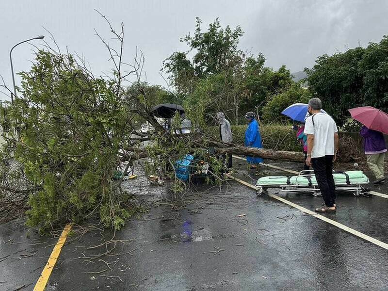 孙姓邮差遭倒塌的大树压住，民众赶往抢救。（资料照）