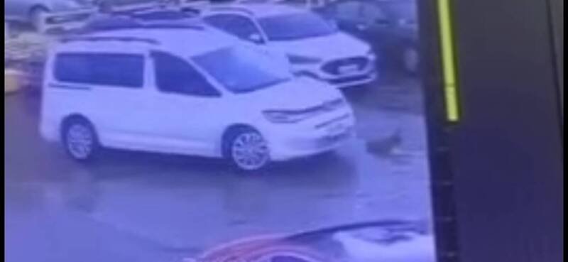 王姓男子驾车驶离基隆市基隆渔会停车场时，辗死趴在停车场内的「阿肥」，过程被停车场监视器拍下。（记者林嘉东翻摄）