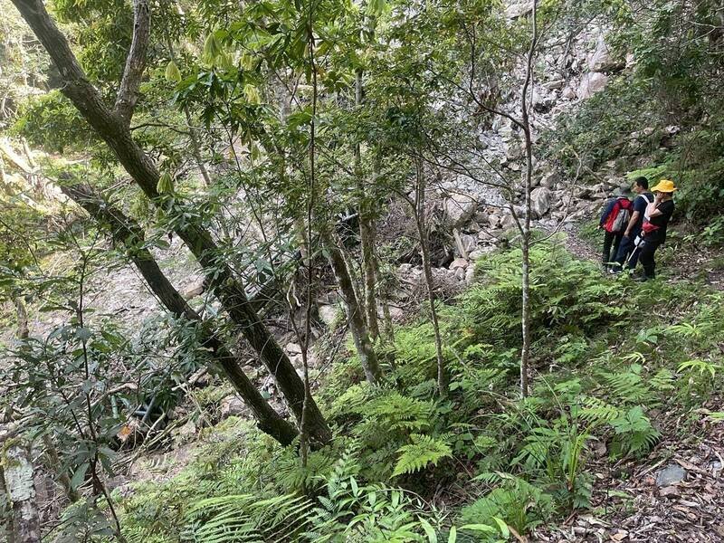 70岁陈姓妇人在瓦拉米步道失踪，今天消防局及东搜都持续搜救中，针对崩壁落石区加强搜寻。（花莲县消防局提供）