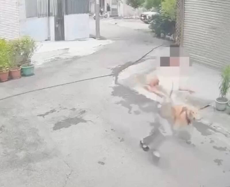遛狗女子遭彭男持刀追，吓得拚命逃跑。（警方提供）