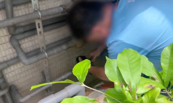 台水人员于现场执行断水断电。（记者刘庆侯翻摄）