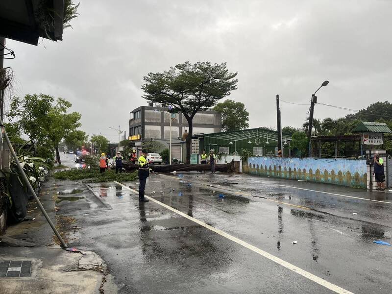 阿莲区仁爱路路树倒塌，开车经过该处的黄姓男子闪避时失控车祸。（民众提供）
