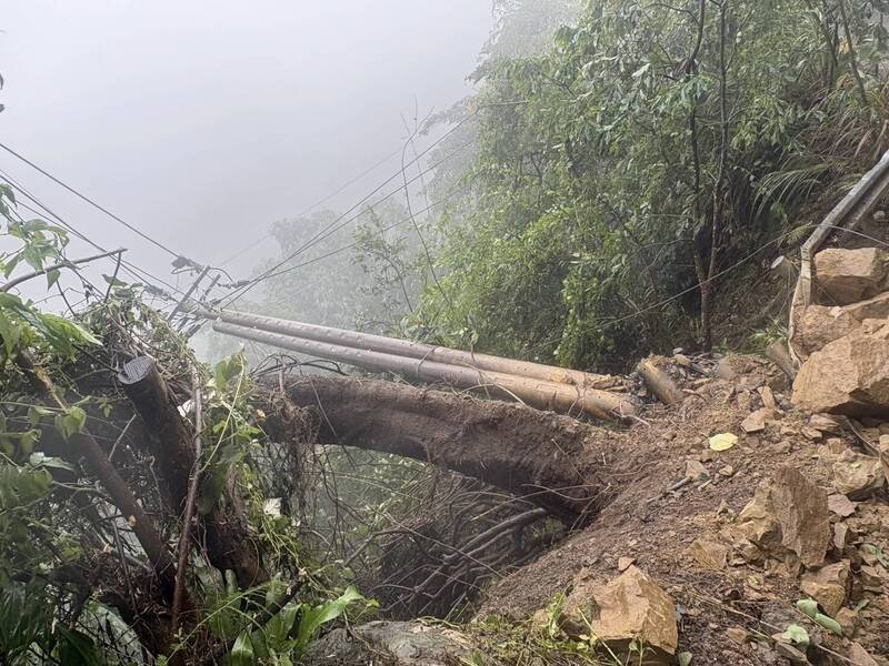 蔷琵台风袭击南投，频传树倒、道路崩坍导致电力中断，全县累计停电多达5131户。（台电南投区处提供）