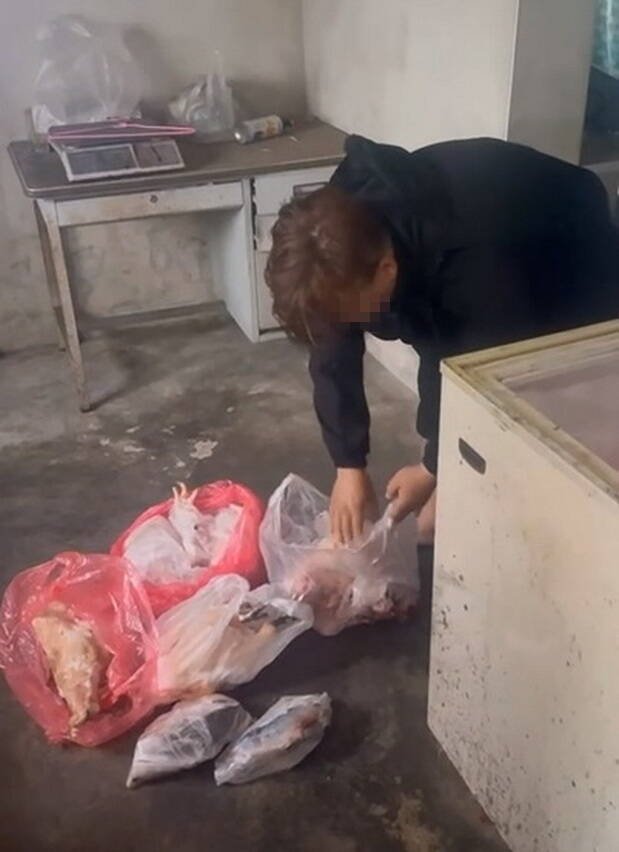 现场搜出大量来路不明的动物屠体，已被冰冻保存。（县议员吴韦达提供）
