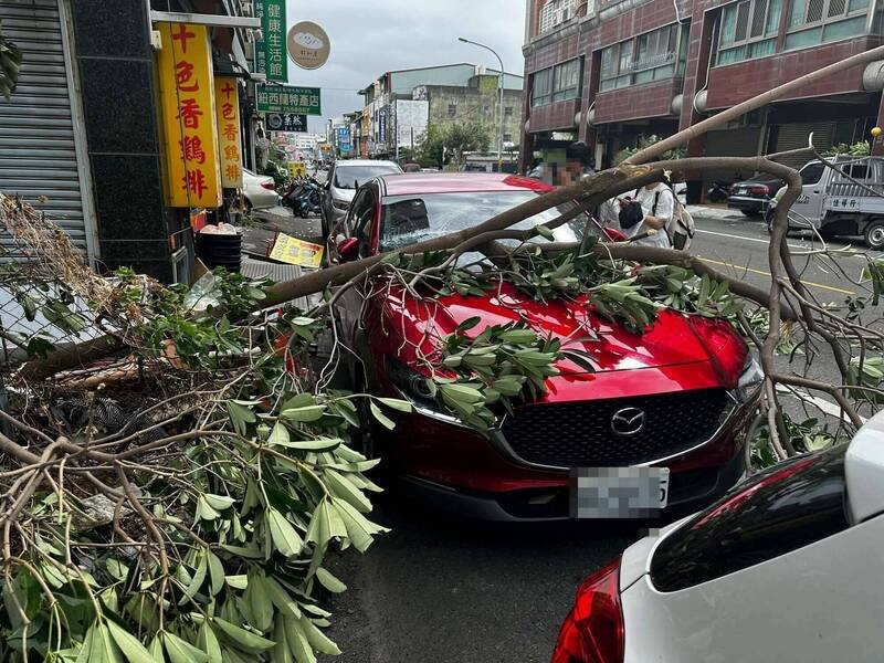 大树倒塌砸轿车，车主先一步上厕所惊呼幸运逃过一劫。（民众提供）